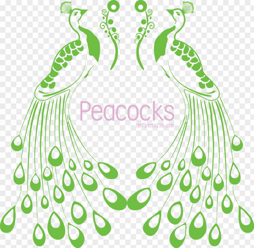 Cartoon Painted Peacock Peafowl Drawing Clip Art PNG