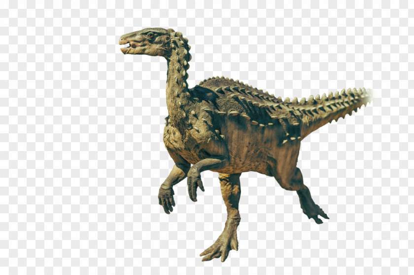Dinosaur Velociraptor Tyrannosaurus DeviantArt PNG