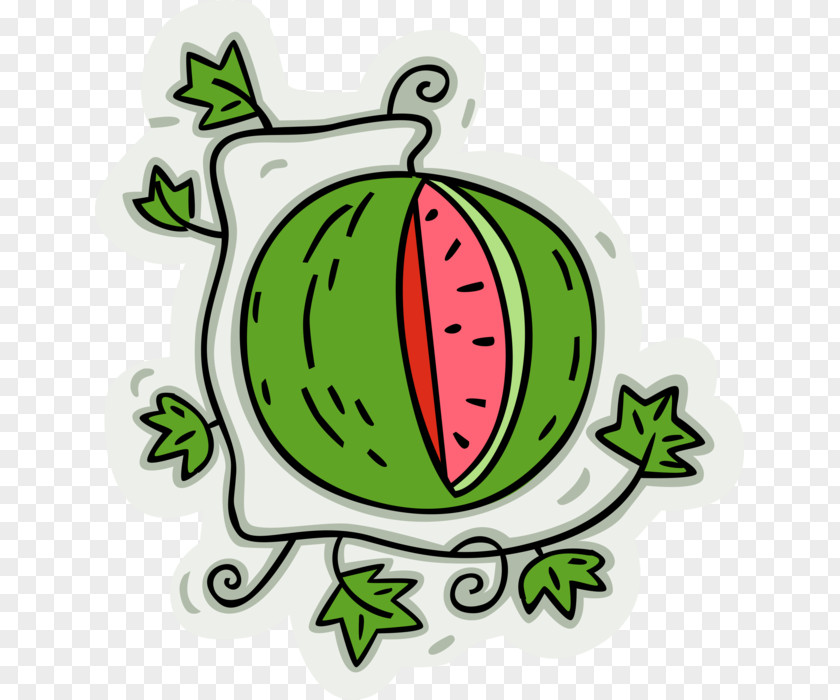 Watermelon Vector Graphics Clip Art Image Illustration PNG