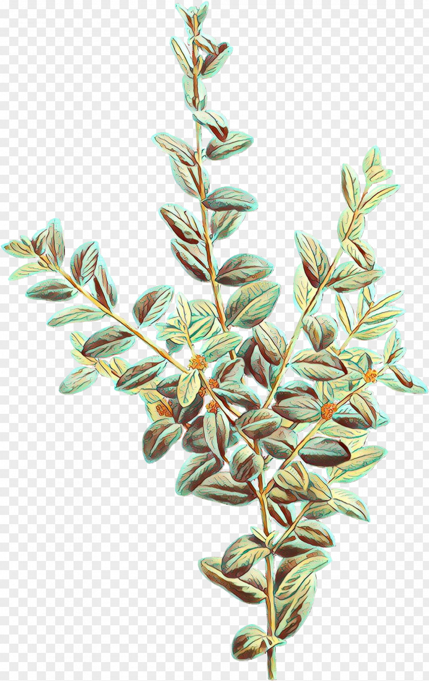 American Larch Twig Plant Flower Branch Leaf Tree PNG