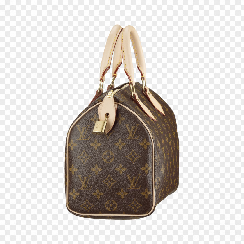 Bag Handbag Louis Vuitton Messenger Bags Shoe PNG