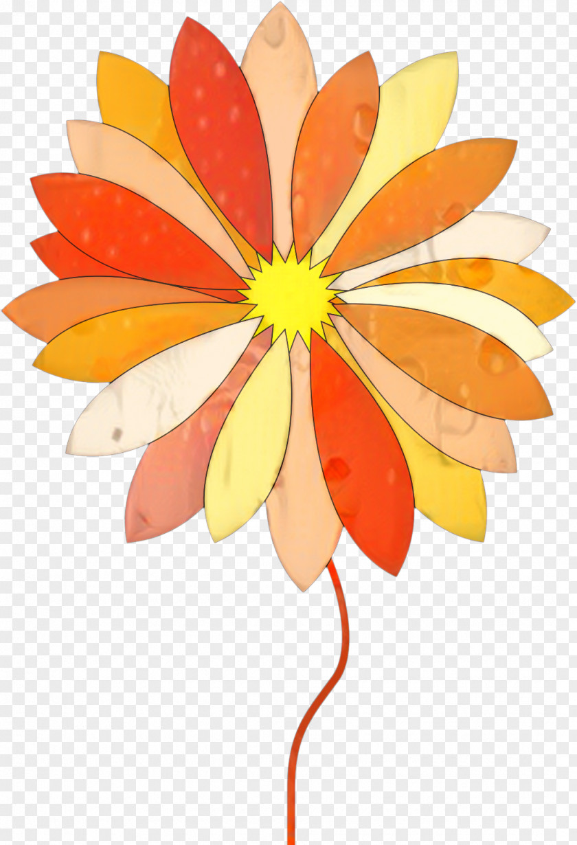 Daisy Family Wildflower Drawing Of PNG