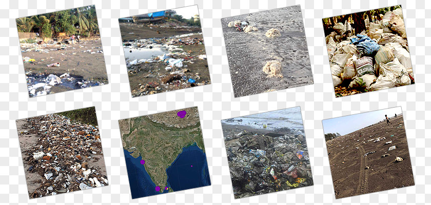 Devendra Fadnavis Plastic Collage PNG