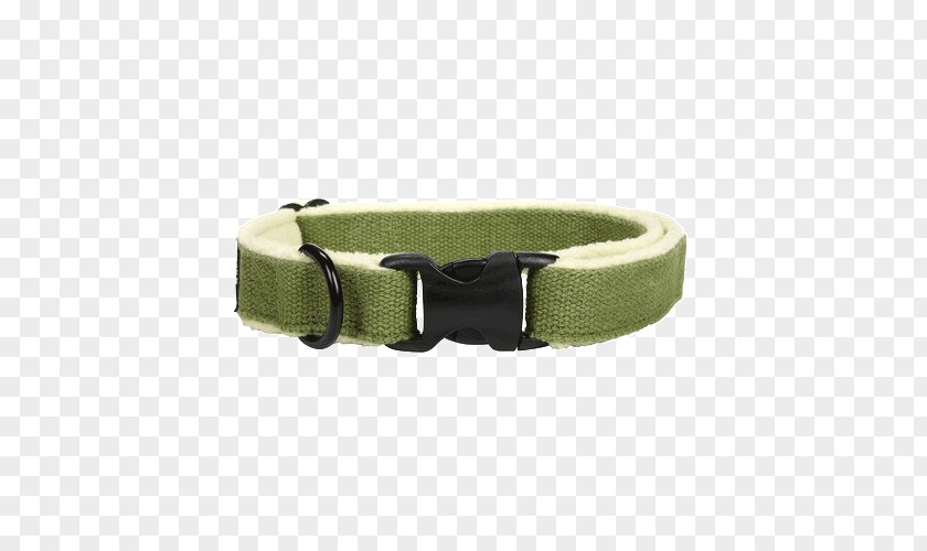 Dog Collar Golden Retriever Pug Cat PNG