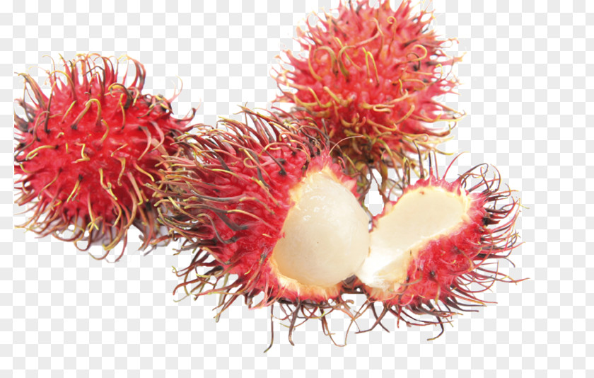 Grape Rambutan Fruit Nephelium Chryseum Lychee Food PNG