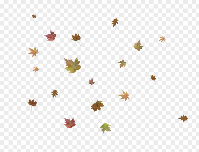 Autumn Leaves Leaf Photo Manipulation Tutorial PNG