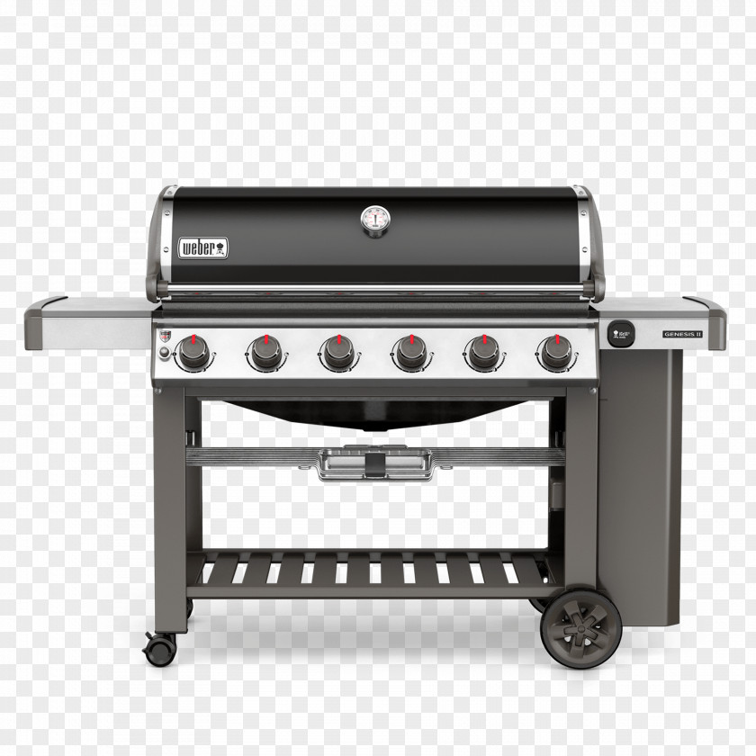 Barbecue Natural Gas Weber-Stephen Products Propane Burner PNG