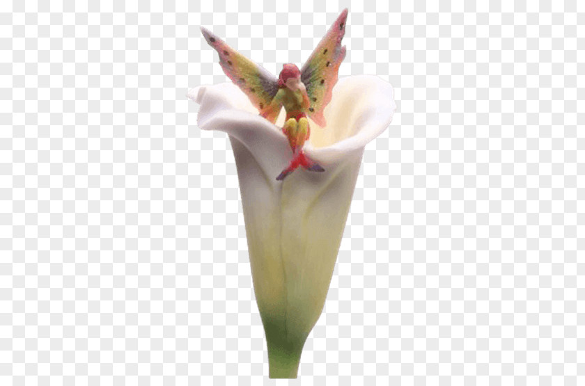 Callalily Figurine Arum-lily Flower Statue PNG