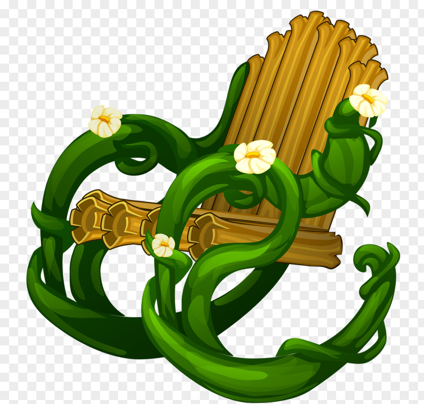 Green Rattan Chair Calameae PNG