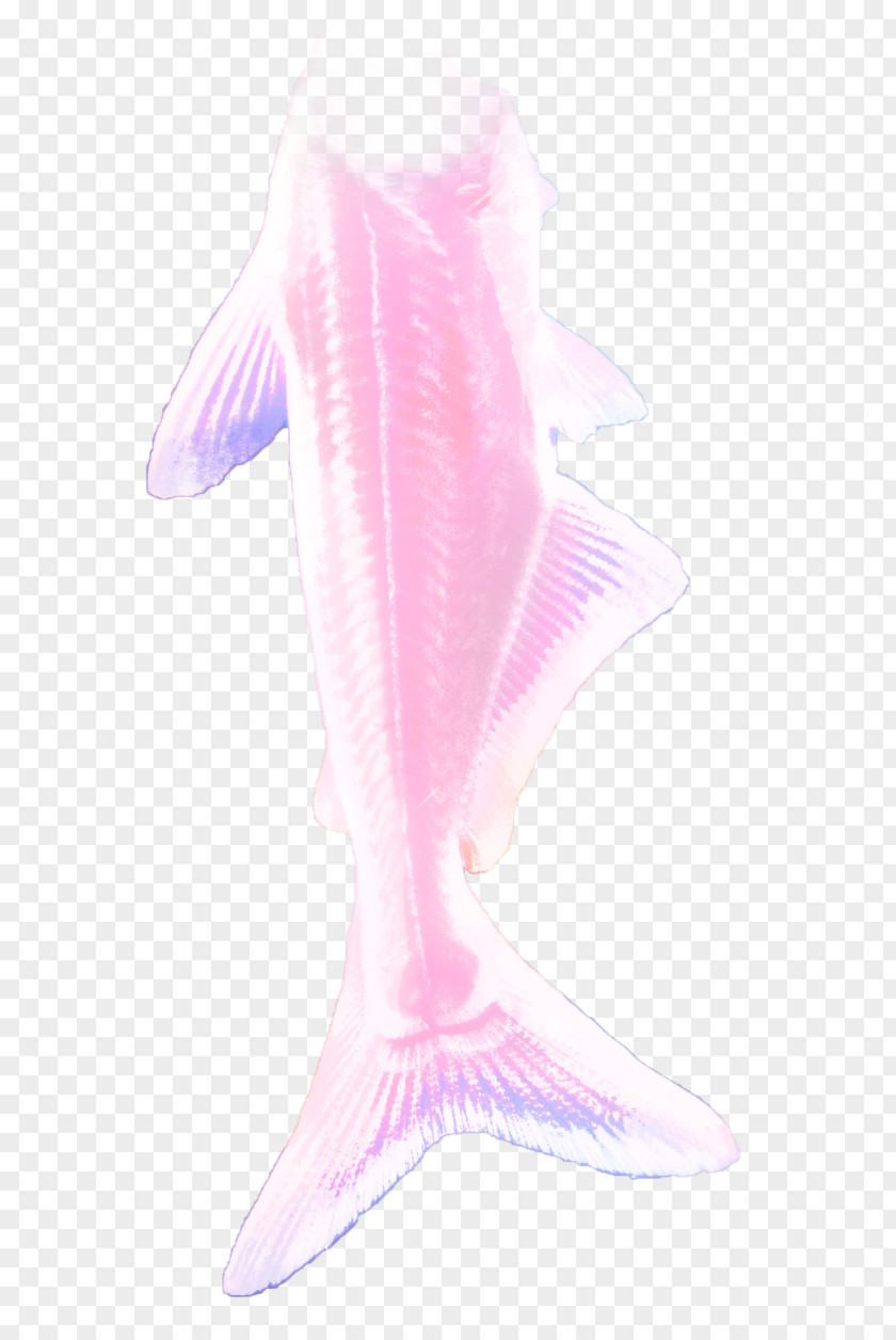 Mermaid Tail Lilac Purple Marine Mammal Fish PNG