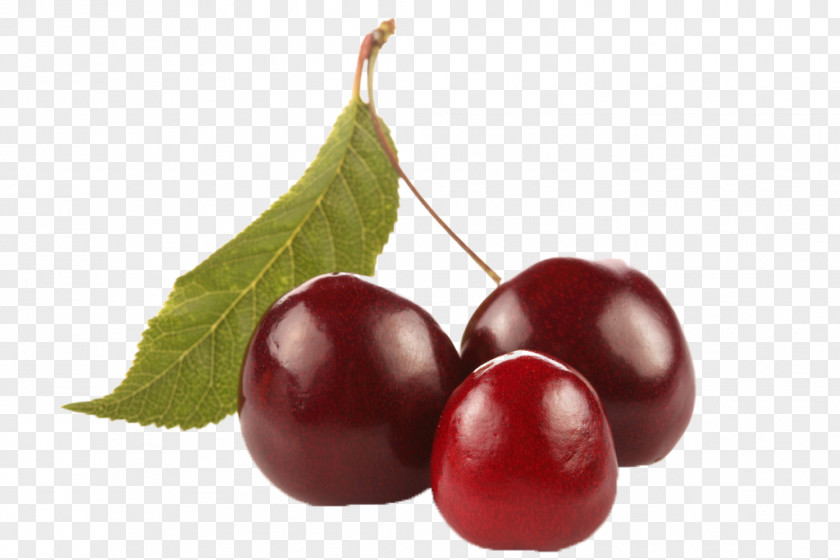 Myolie Physical Map Cherry Red Fruit PNG