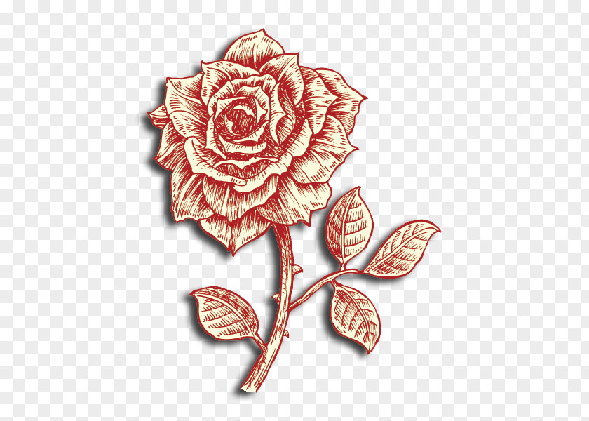 Rose Garden Roses Drawing PNG