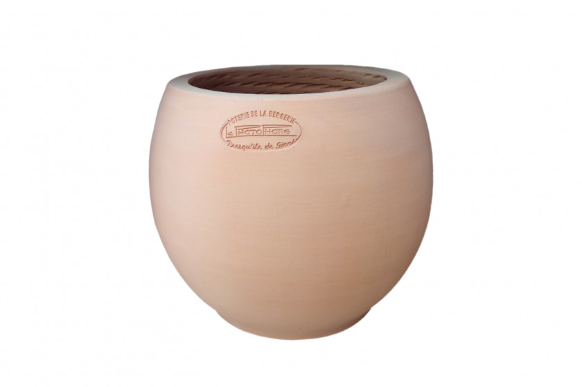 Vase Ceramic Pottery PNG