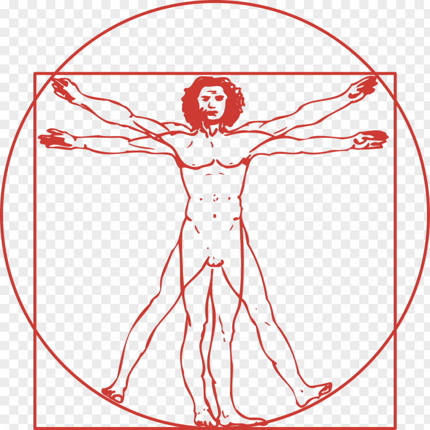 Vitruvian Man Royalty-free PNG