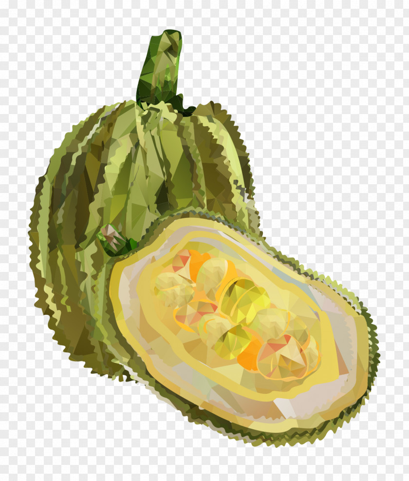 Water Painting Papaya Material Adobe Illustrator Icon PNG