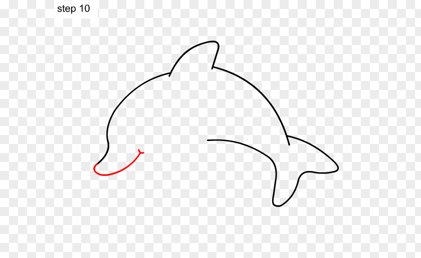 Dolphin Drawing Clip Art Mammal Design Product Point PNG