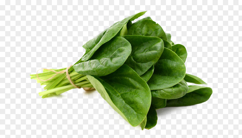 Espinaca Spinach Leaf Vegetable Food PNG