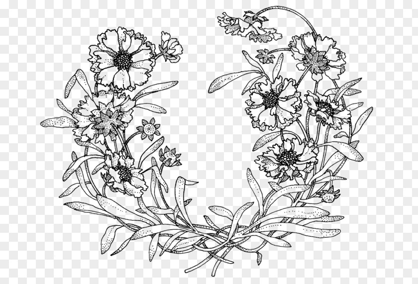 Flower Drawing Treasury Of Designs For Artists, Embroiderers And Craftsmen PNG