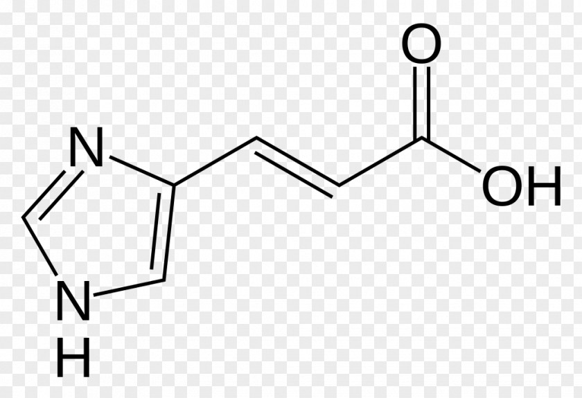 Histidine Tyrosine Structure Amino Acid Urocanic PNG