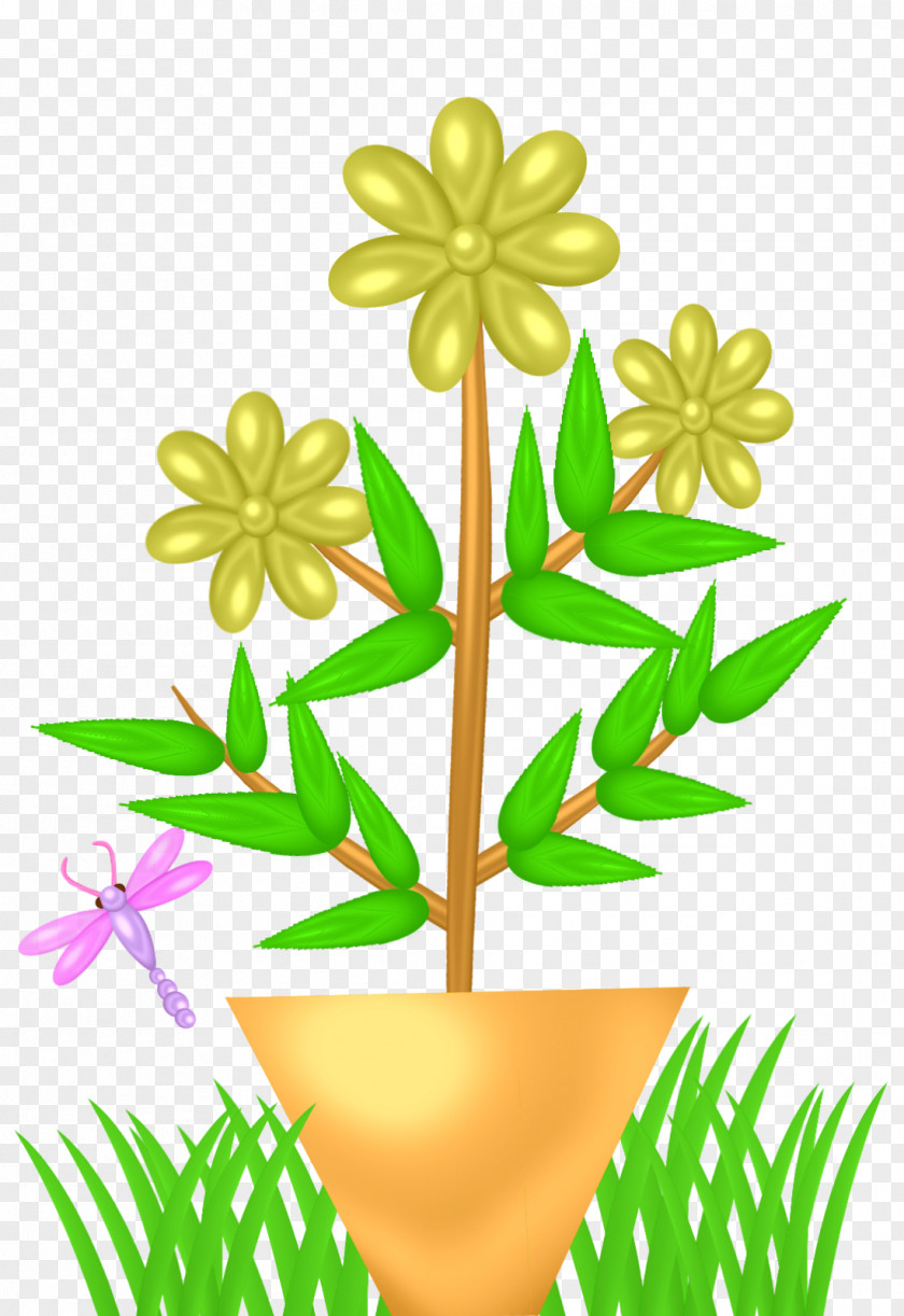 Hoya Bella Floral Design Cut Flowers Plant Stem Leaf PNG