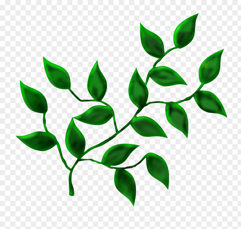 Leaf Tree Desktop Wallpaper PNG
