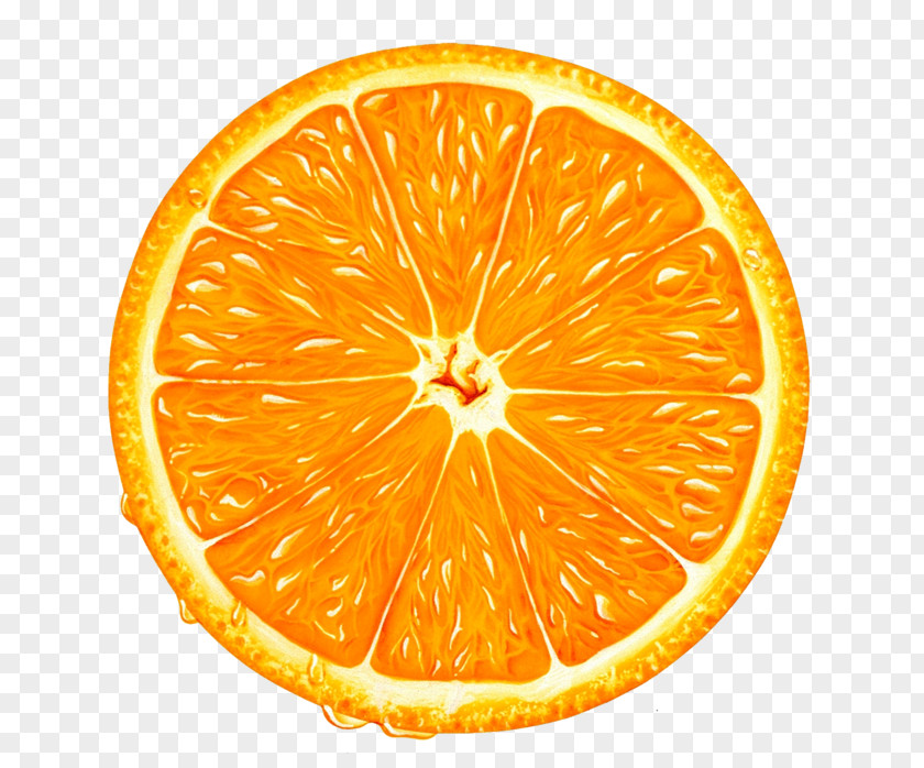 Orange Juice Clip Art PNG