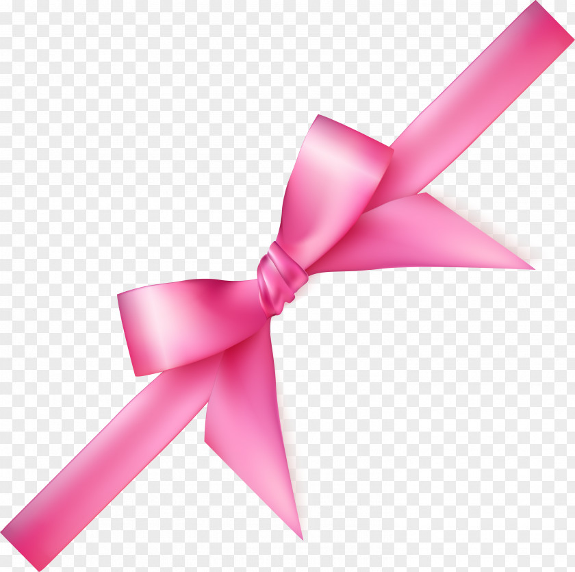 Pink Fresh Bow PNG