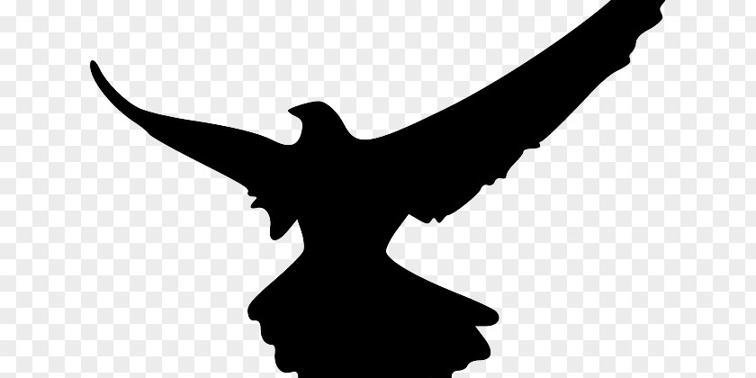 Silhouette Bird Falcon Clip Art PNG