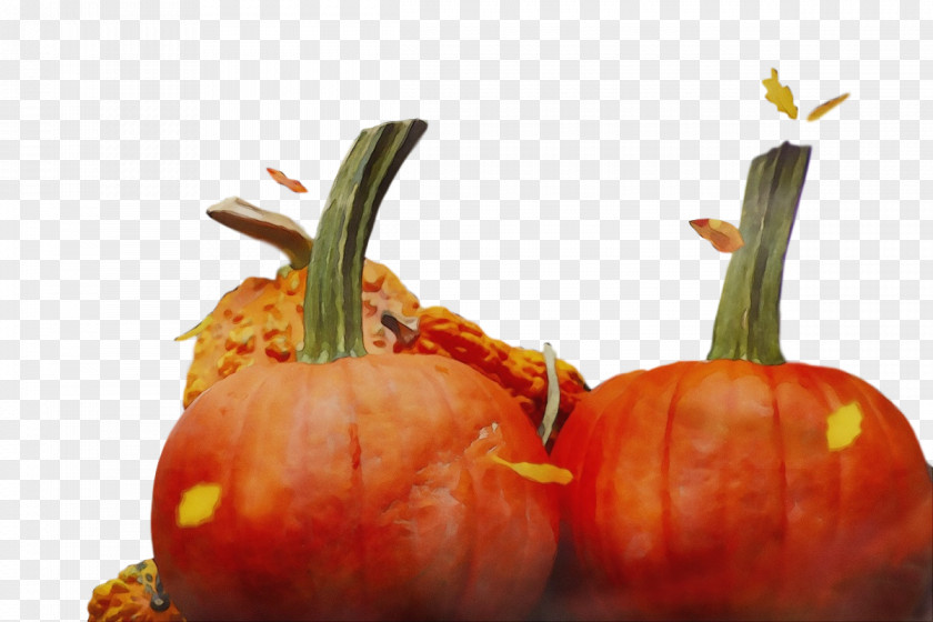 Tomato PNG