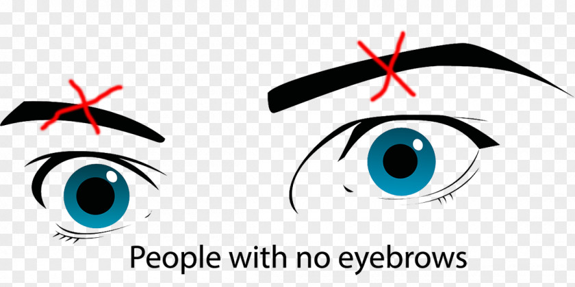 Eye Drawing Visual Perception Human PNG