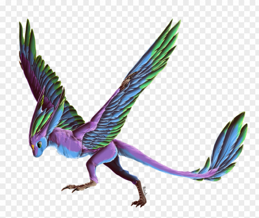 Feather Faun DeviantArt Character Phoenix PNG