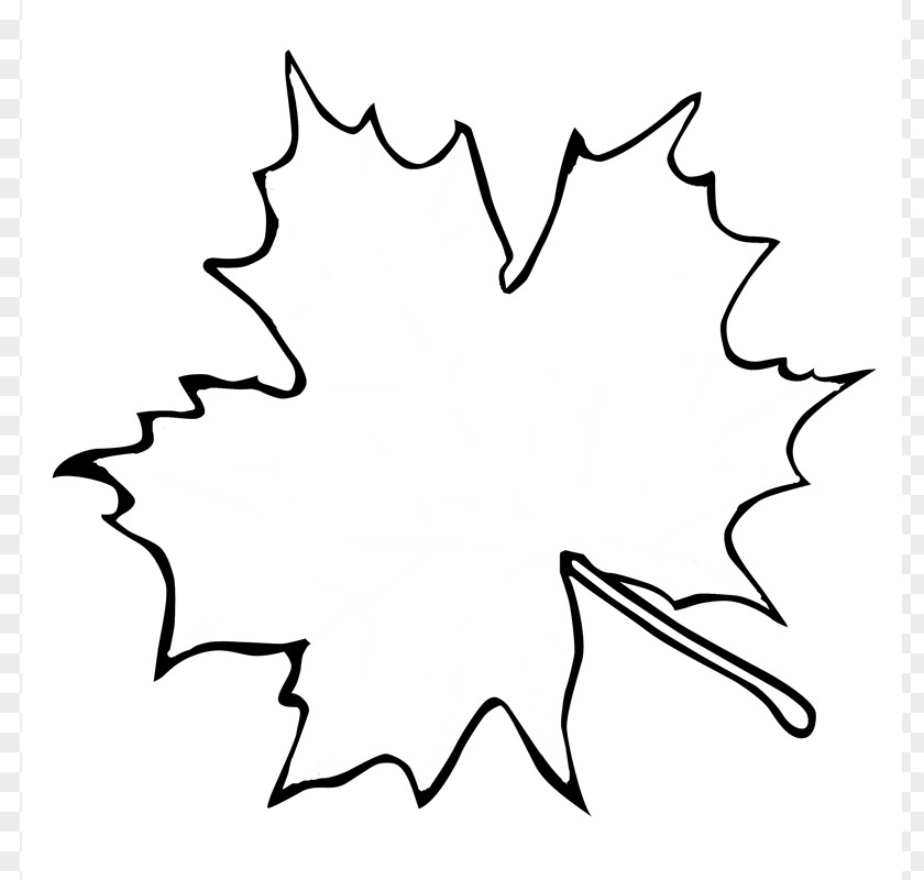 Fish Outline Template Sugar Maple Leaf Clip Art PNG