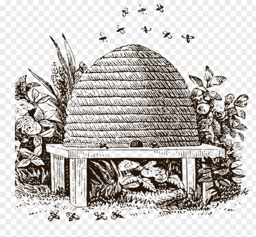 Hive Freemasonry Beehive Masonic Ritual And Symbolism Lodge PNG