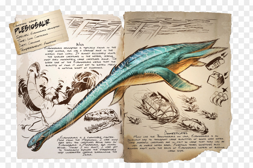 Mutton Plesiosauria ARK: Survival Evolved Elasmosaurus Spinosaurus Reptile PNG