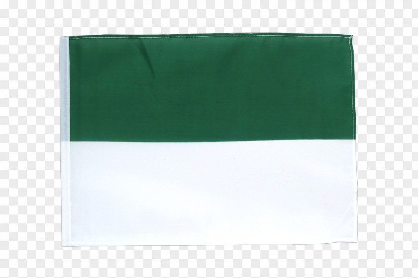 Node 03120 Green Flag Rectangle PNG
