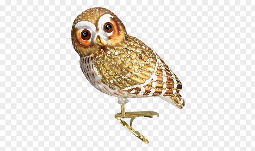 Owl Eurasian Pygmy Christmas Ornament Holiday PNG