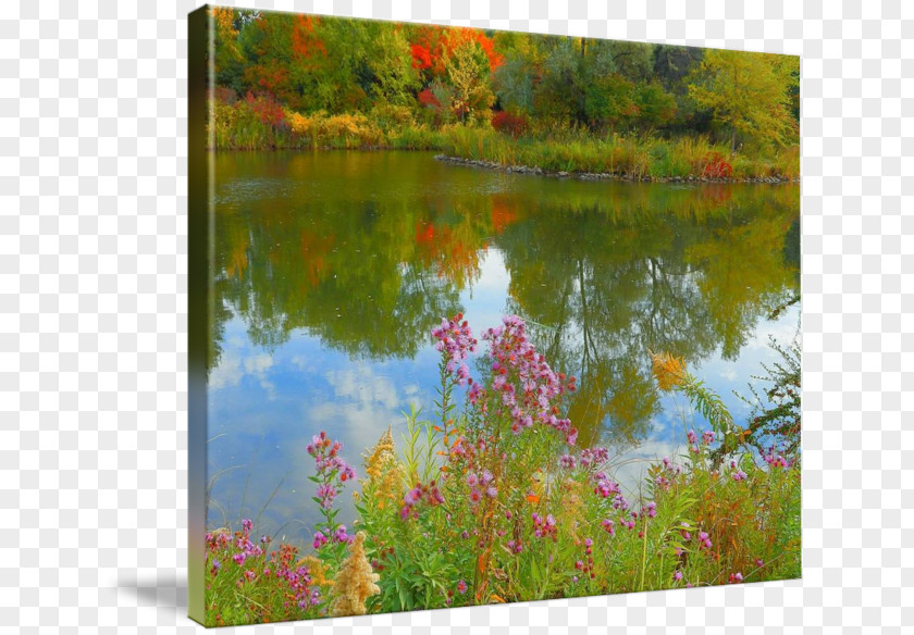 Painting Flora Acrylic Paint Gallery Wrap Ecosystem PNG