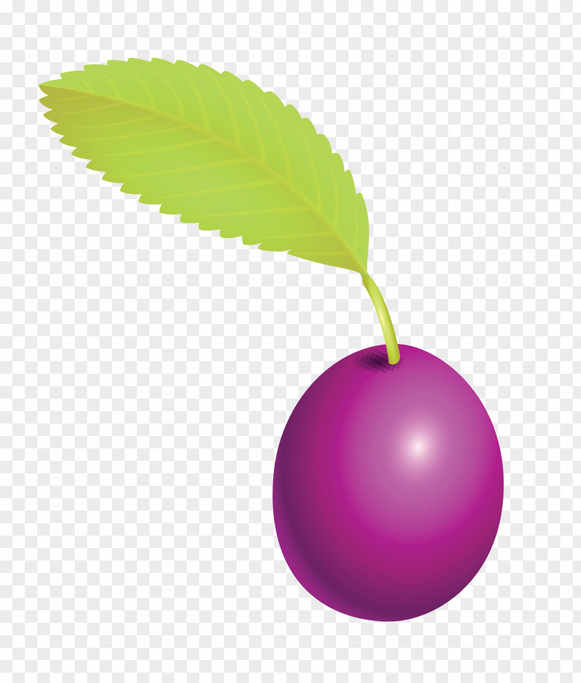 Prune Fruit PNG