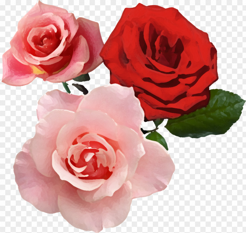 Real Flower Garden Roses Red Aesthetics Image PNG