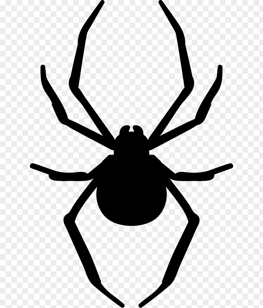 Spider Stencil Art PNG