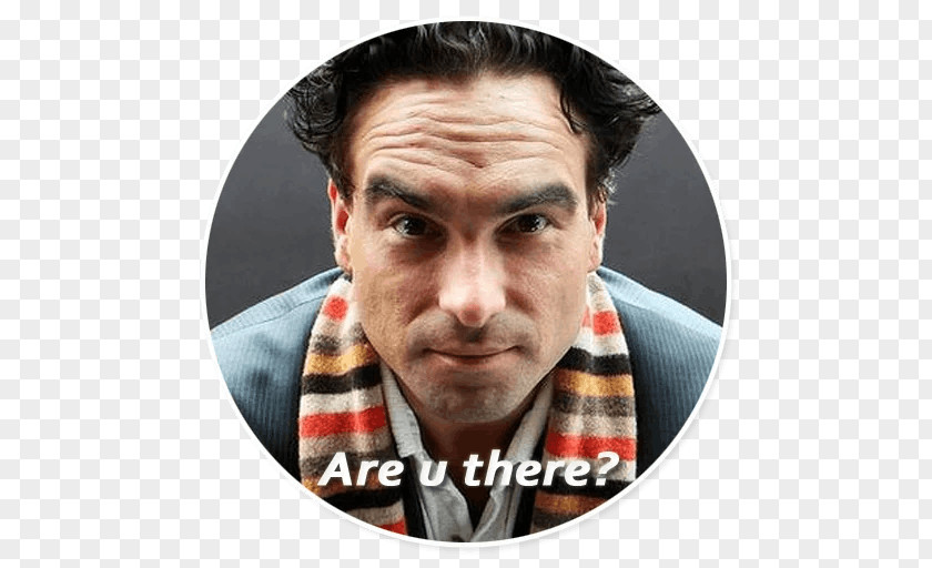 The Big Bang Theory Johnny Galecki Stickers Sheldon Cooper PNG