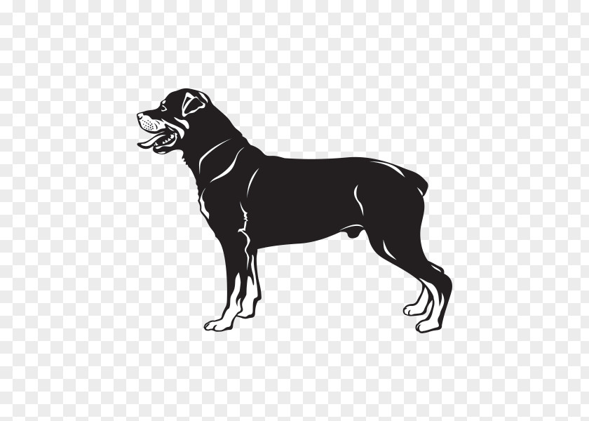 The Rottweiler Boxer Dog Breed PNG