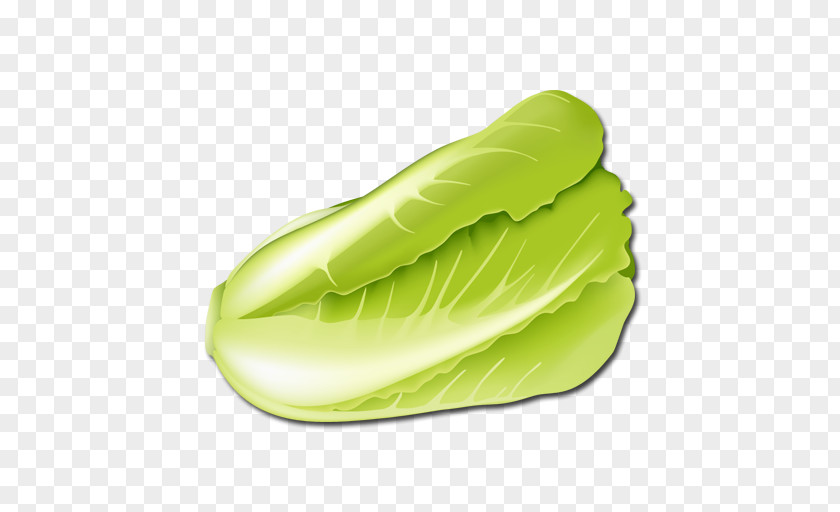 Uchuva Napa Cabbage Vegetable Lettuce Chinese PNG