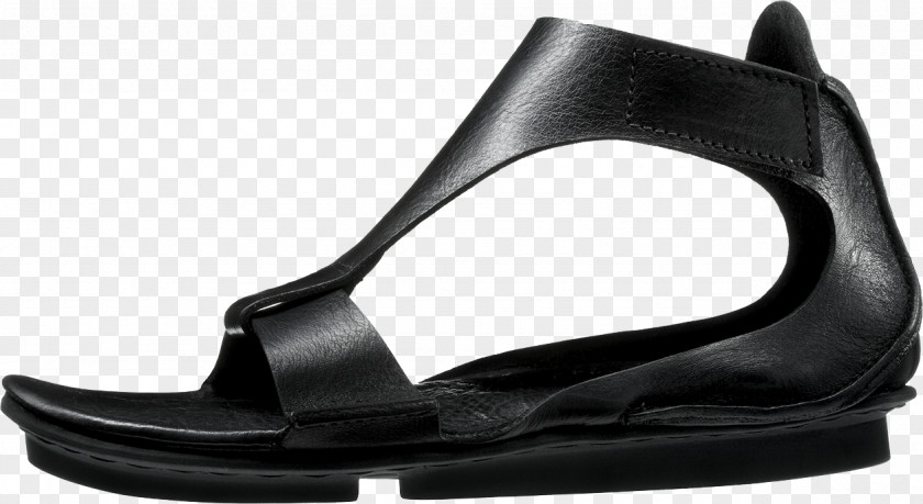 Zoom Sandal Penna Shoe Patten PNG