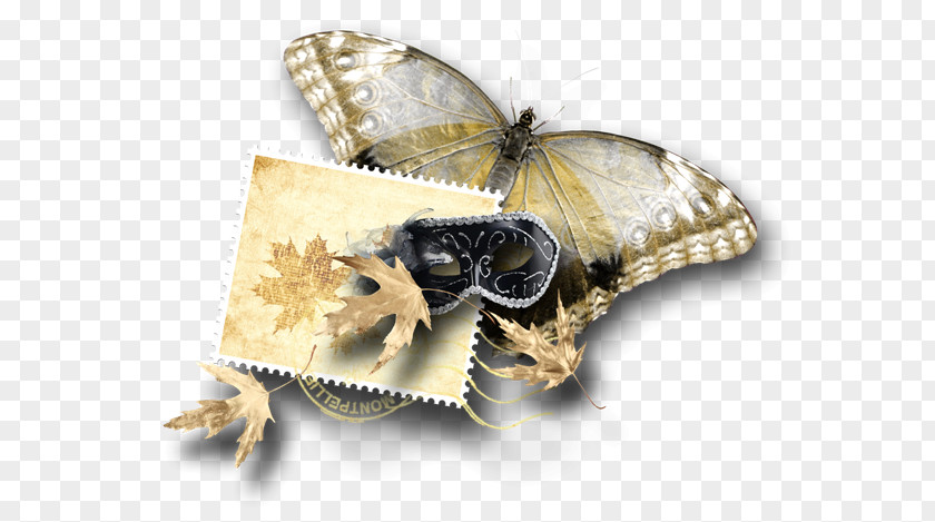 Butterfly Bombycidae Clip Art PNG