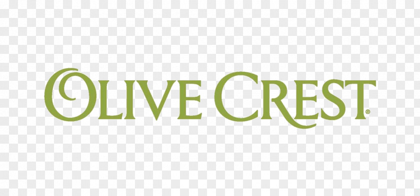 Olive Logo Crest Child Family Organization Non-profit Organisation PNG