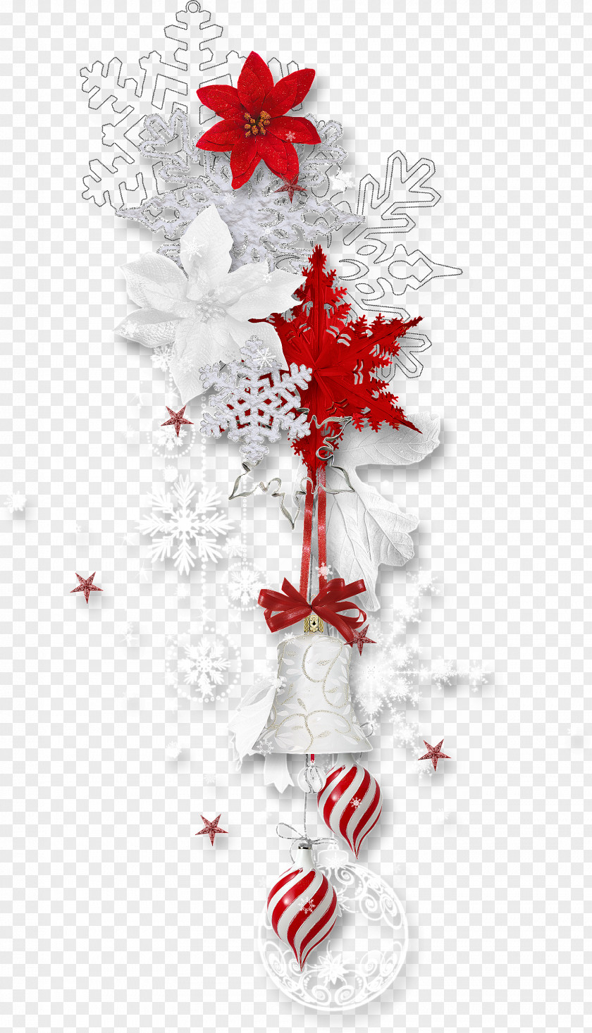Winter Christmas Picture Frames Clip Art PNG