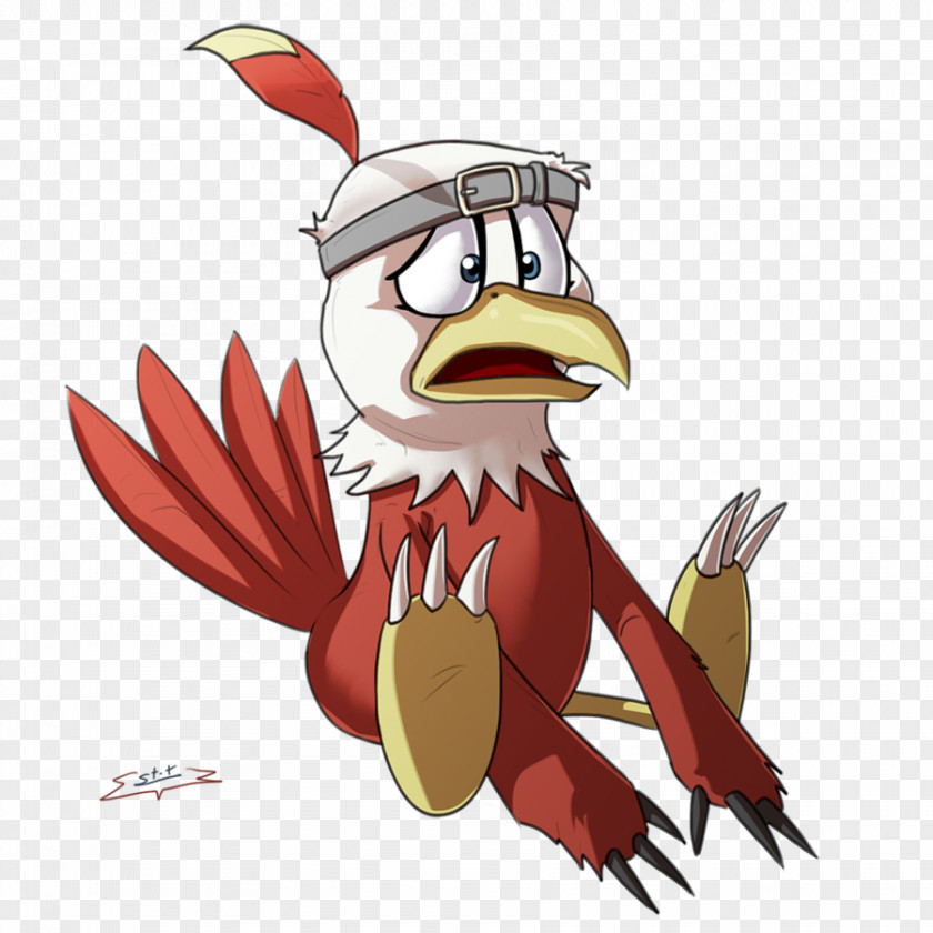 Bird Rooster Of Prey Beak Illustration PNG