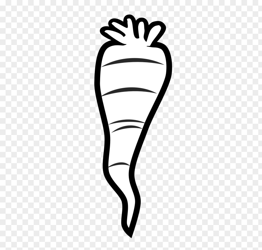 Carrot Clip Art Arracacia Xanthorrhiza Openclipart Free Content PNG
