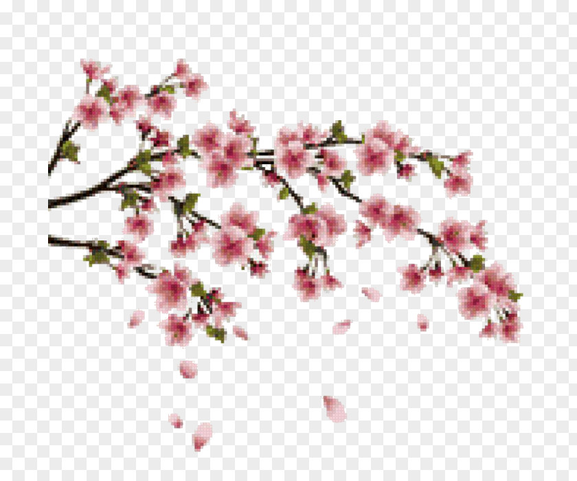 Cherry Blossom Wall Decal Branch PNG